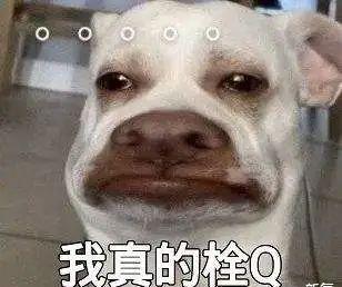 bilibili|日本男人最喜欢的女星身材连续4年拿下榜首，网友：姐姐我可以