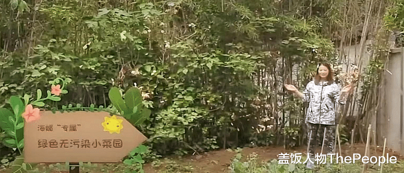 刘嘉玲|15位港台艺人定居内地:有人娶富婆住亿万豪宅,有人租房一月3000