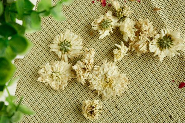 枸杞|枸杞菊花茶养生效果虽好,但要搞清楚这几点才行,否则反而会伤身