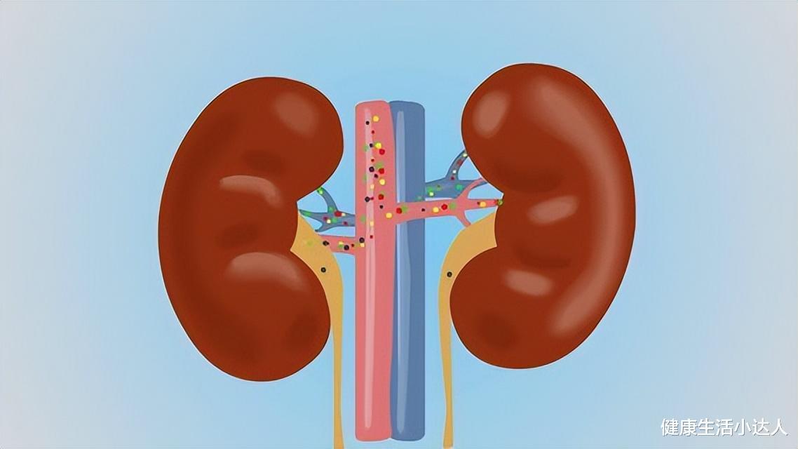 运动|肾有5“怕”,你碰得越少,肾脏越会感谢你,变得强壮无比