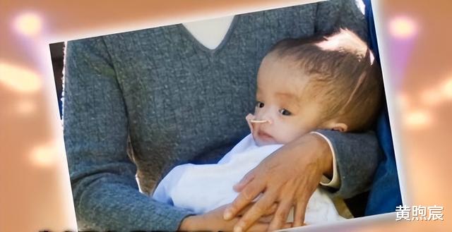 叶丽仪|73岁歌手叶丽仪近况曝光！抗癌成功后定居国外，因《上海滩》成名