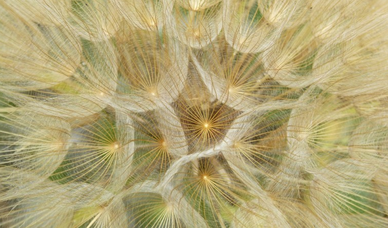 刘志强|工作真的有意义么？分享一下我的见解