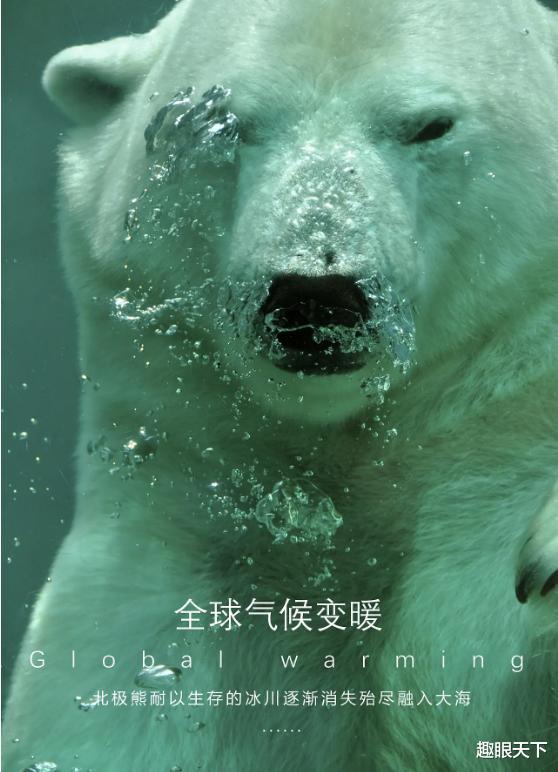 全球变暖真是骗局?南大洋吸碳量比排放量还多5。3亿吨,科学无法解释
