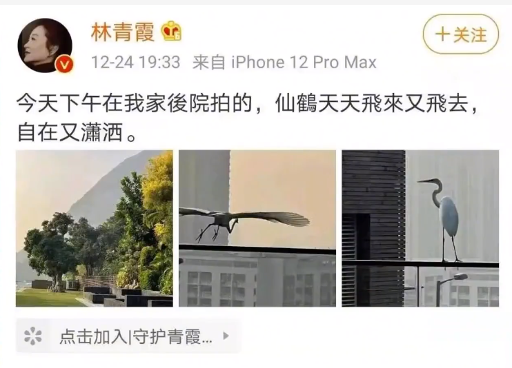 林青霞的5000平豪宅:卧室120平,装修6个亿,常有仙鹤落在院子