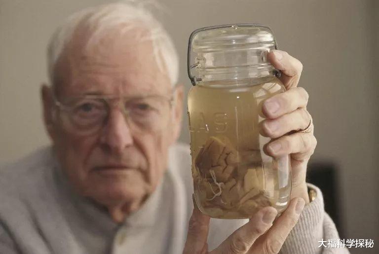 大脑开发不到10%，怎样变成爱因斯坦的智商？后天可以开发培养