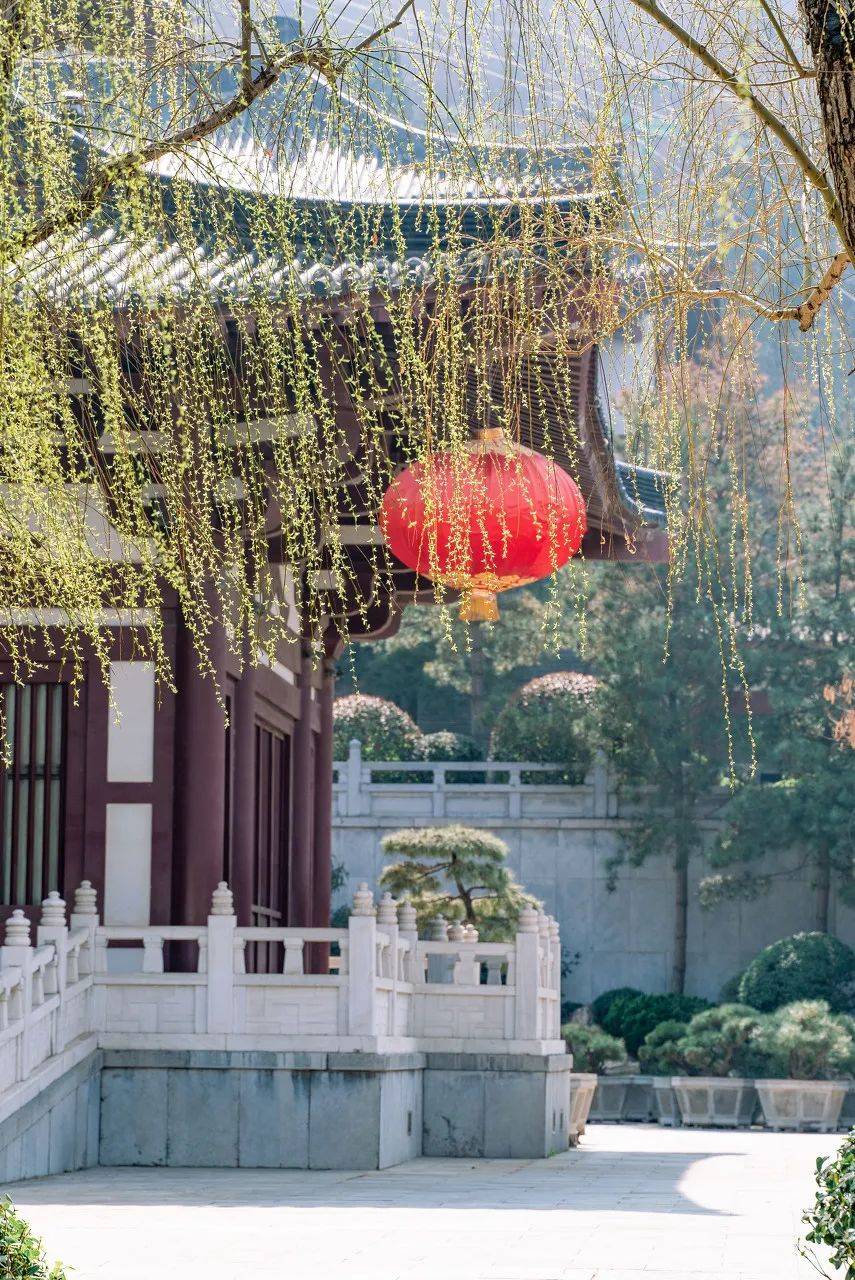 水果|水果第一大省竟然是它?夏天水果论筐吃,太想去了!