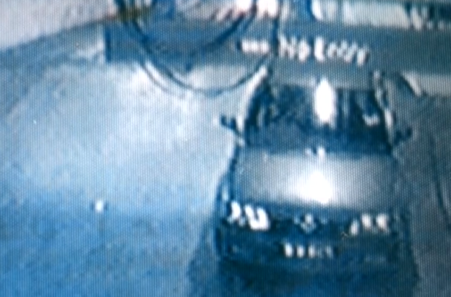 03年，28岁华裔少妇在停车场失踪，受尽折磨，被发现时已成焦尸