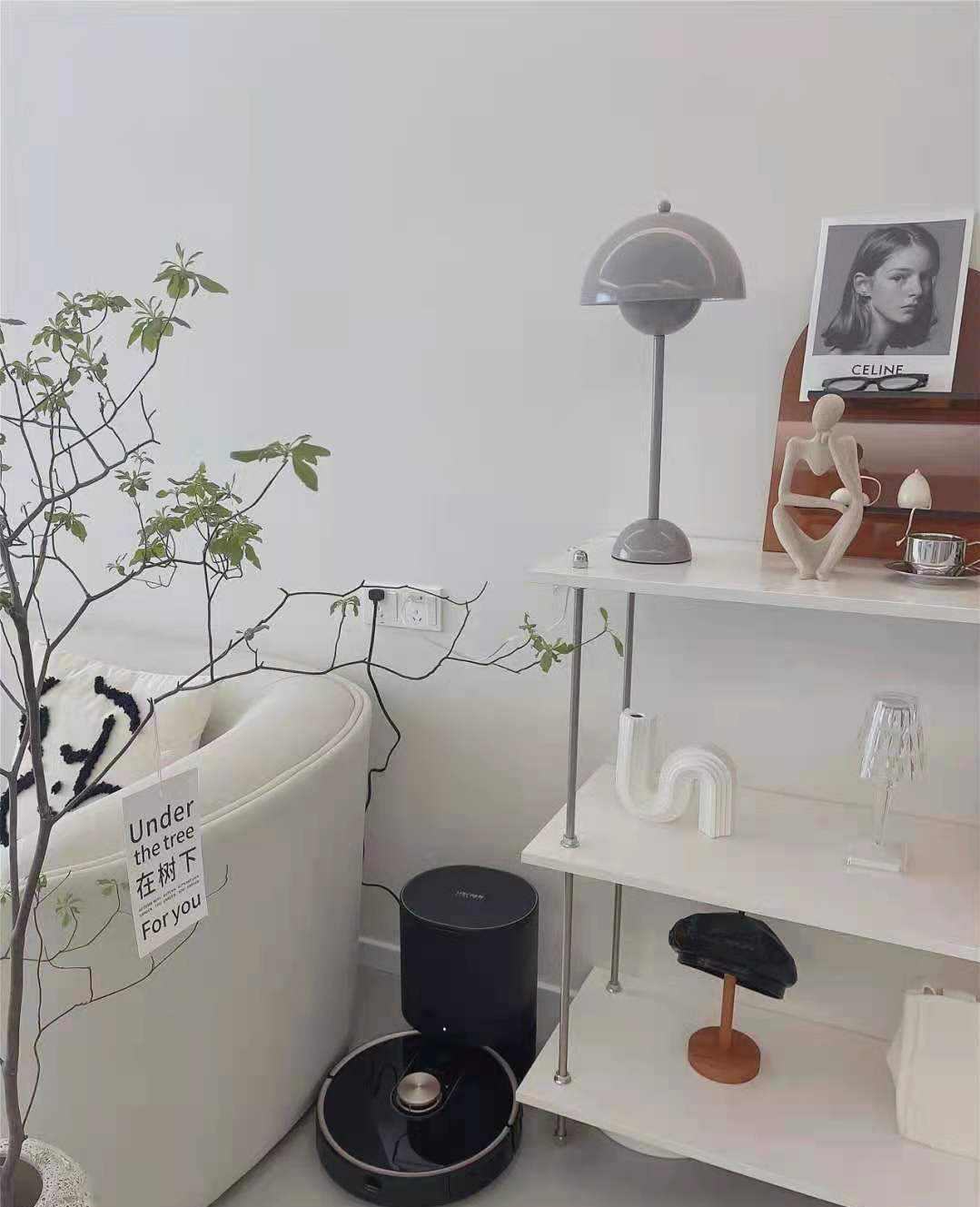 随手添置的5样“网红好物”,没想到十分好用,晒给大家看看!