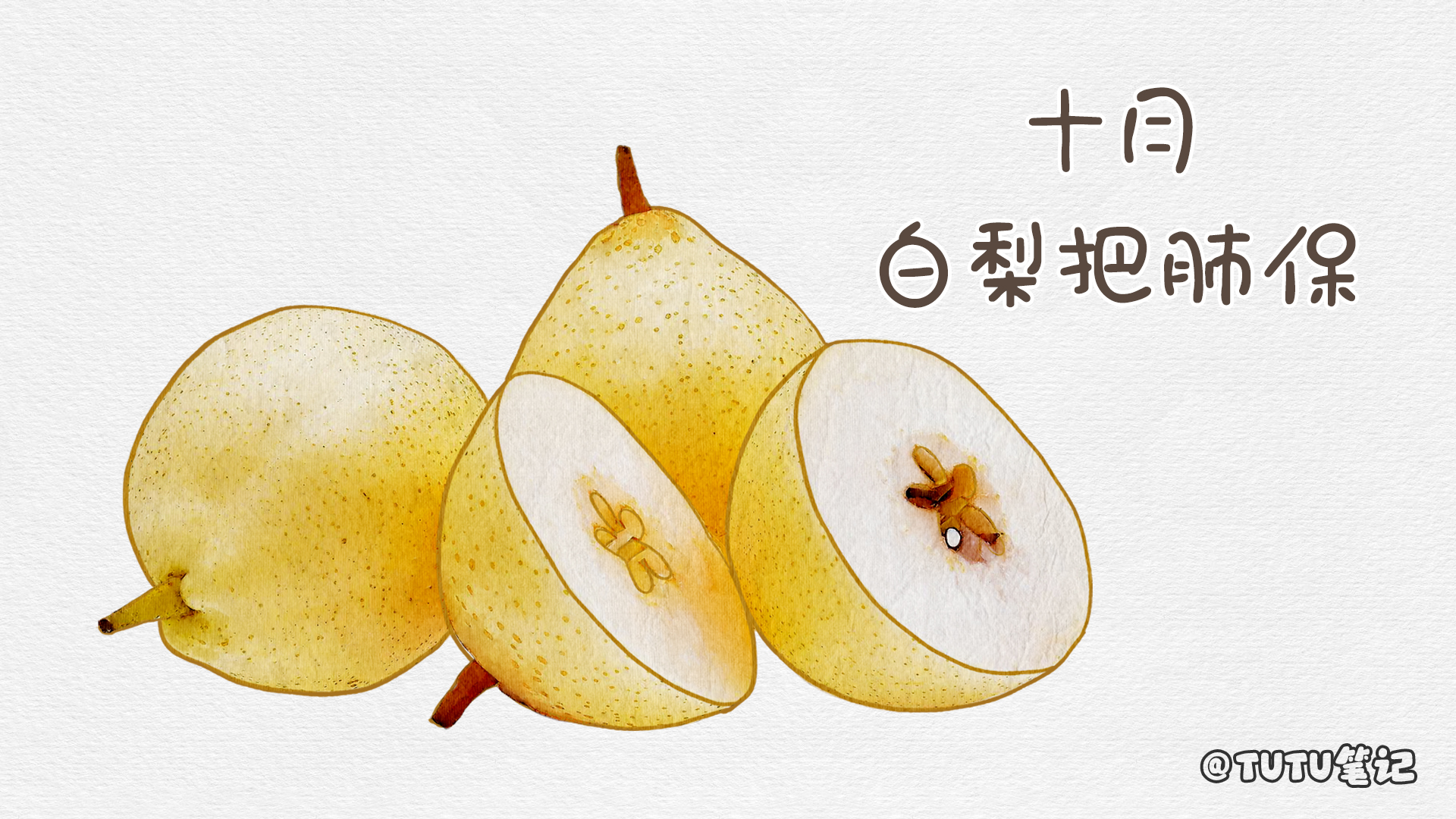 水果|全年最佳的应季水果有哪些?各种水果的应季食用时间你知道么?全年不同月份最适合食用的水果有哪些?