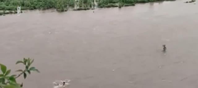 三伏天|男子野钓遇涨水,两天没有打捞到,一个技巧避免