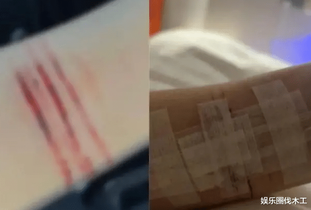 洪金宝|曝张嘉倪遭小三威胁!联合买超私下搞小动作恶心她,现在复婚没戏