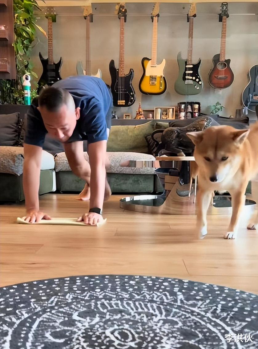 肖战|TVB的贫富差距：车保罗没钱付母亲丧葬费，林保怡高调住进6亿豪宅