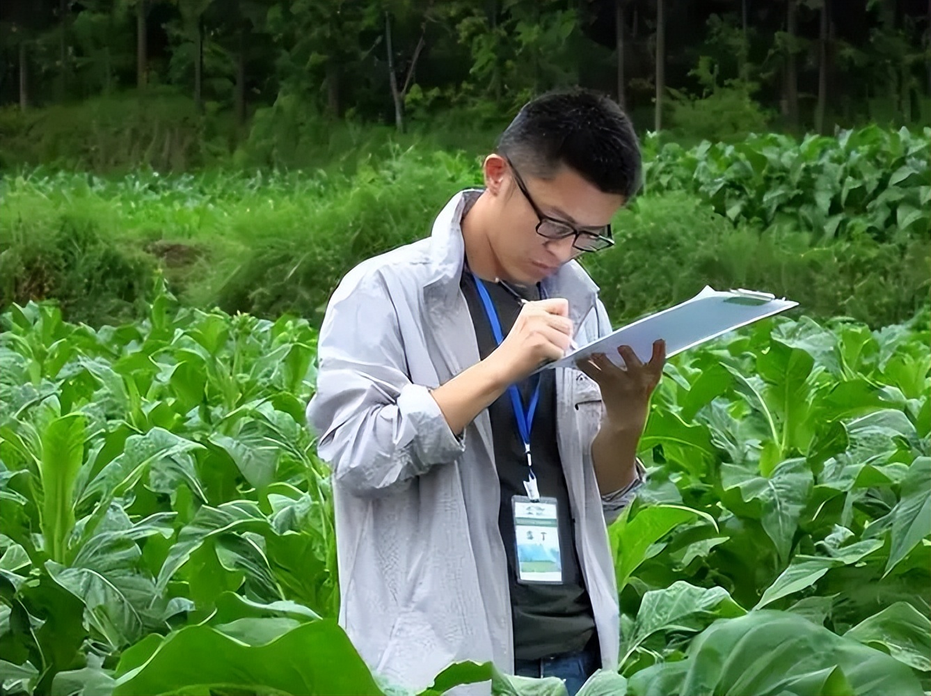 招聘|9成毕业生没机会进中国烟草?过来人道出原因,看完内心五味杂陈