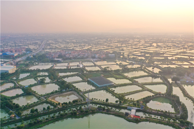 仰·望|坐画舫游水乡美景，体验网红项目过大年，渔耕粤韵旅游园春意浓