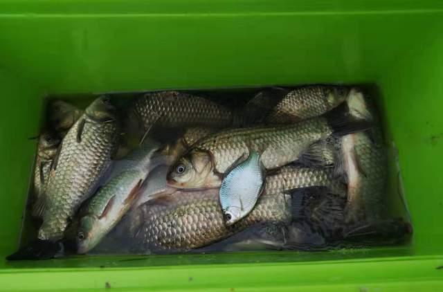 半半歌|当你学会调漂,离走空就不远了?关键点详解