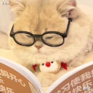 |一代蛊后咋突然清心寡欲了？难怪网友说她尼姑还俗…