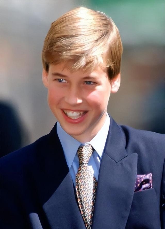 戴安娜|戴安娜渴望爱情，换了7个情人却不再婚，全因威廉“单纯的自私”