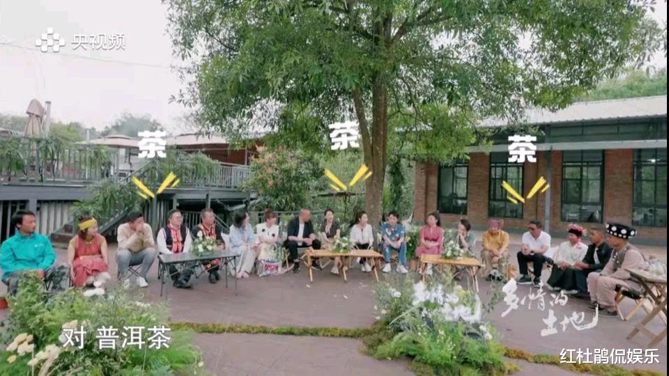 主持人|央视《多情的土地》打开新思路,张蕾、管彤、罗平章3位美女主持人的表现很加分