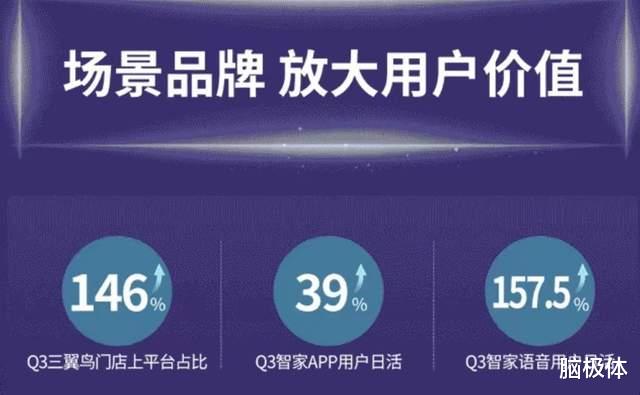 从“三不卖”到三项增长,三翼鸟是如何持续贴近用户的?
