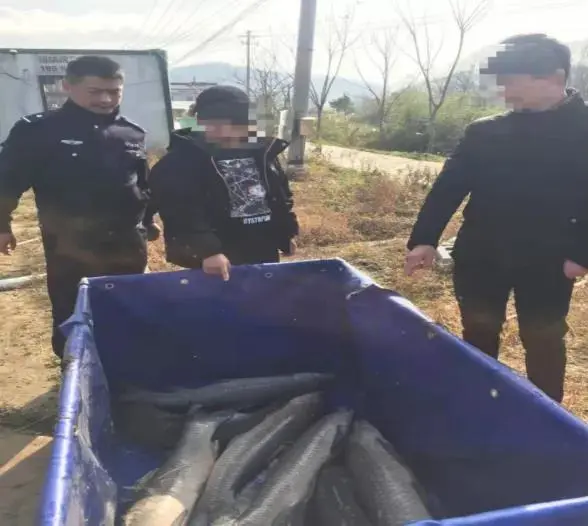 芜湖|喜欢钓鱼的注意了！这样钓鱼可能是犯罪