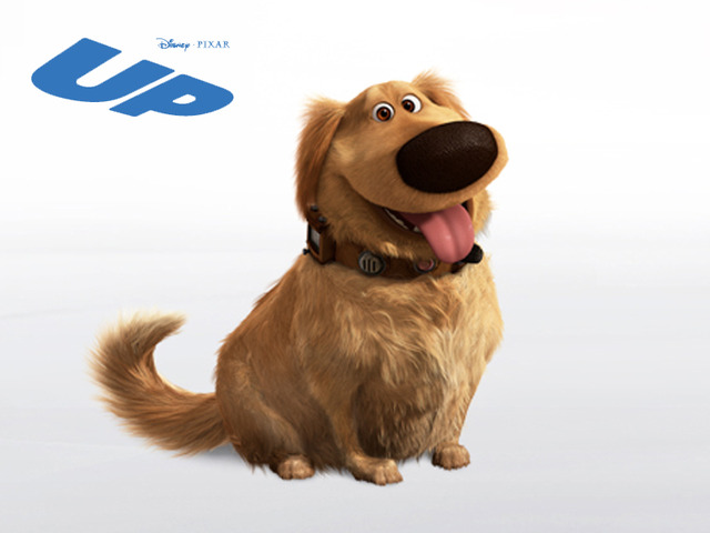 天外奇迹|《天外奇迹》影评:冒险之路即刻启程