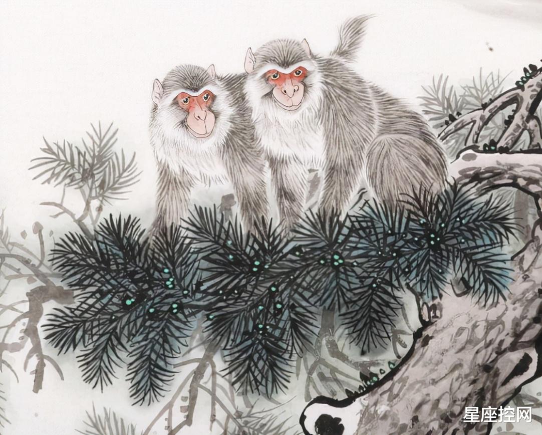 鞋子|四个生肖是今年发展的潜力王，前途一路变好，诸事顺利，一切平稳