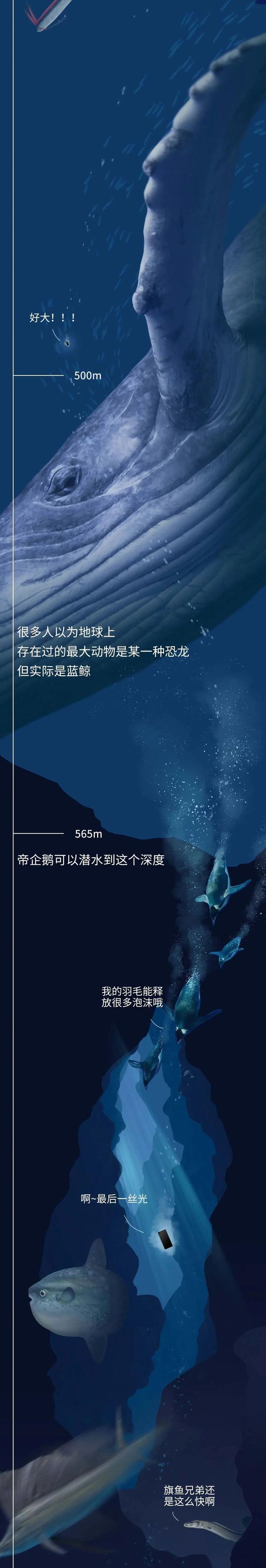 潜入海底一万米,看看这些深海生物长得有多“放肆”?(漫画)