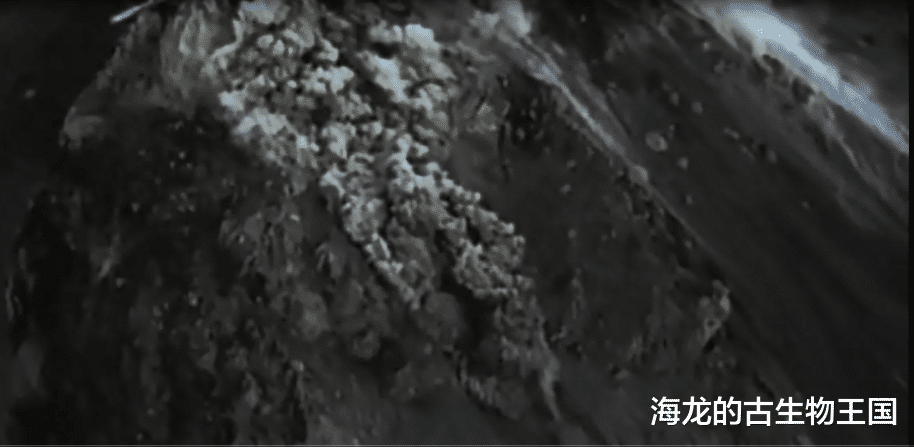 火山爆发！低地生物们迎来灭顶之灾！