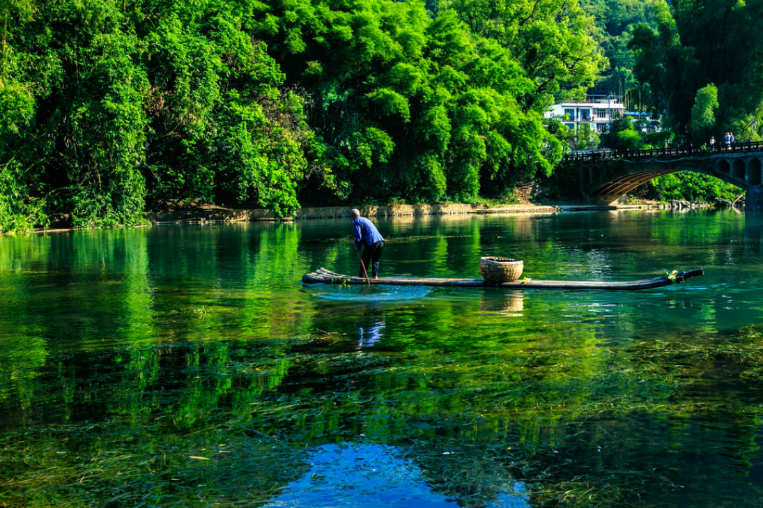 京都|旅游就是换个环境心情，不要抱有太大的希望，会更愉快