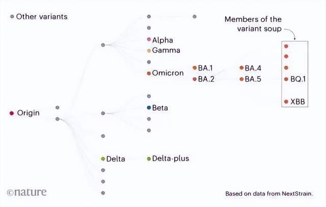 医生|为什么早阳不如迟阳?有6大理由!