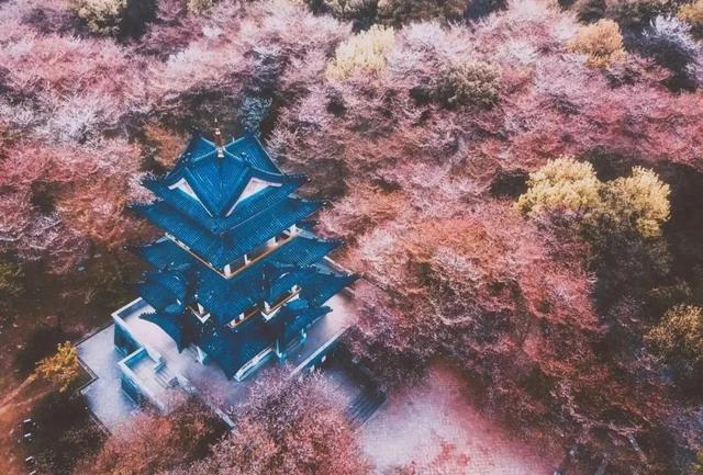 姹紫嫣红的春天，学习六个摄影技巧，拍摄别样风情的花朵照片