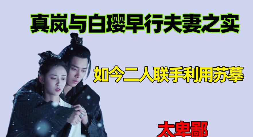 镜双城|镜双城：真岚与白璎早行夫妻之实，如今二人联手利用苏摹