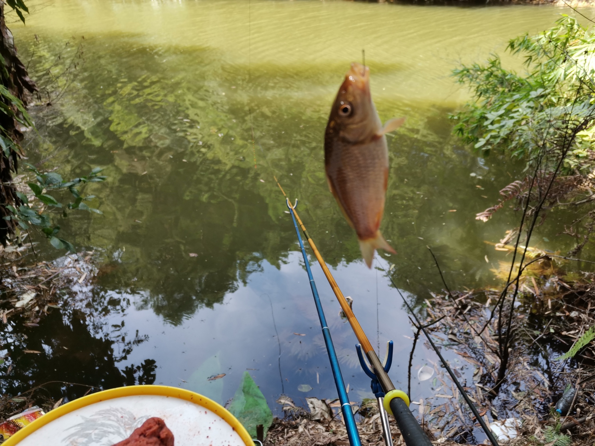 |渔乐杂谈：刮风天钓鱼有什么技巧？