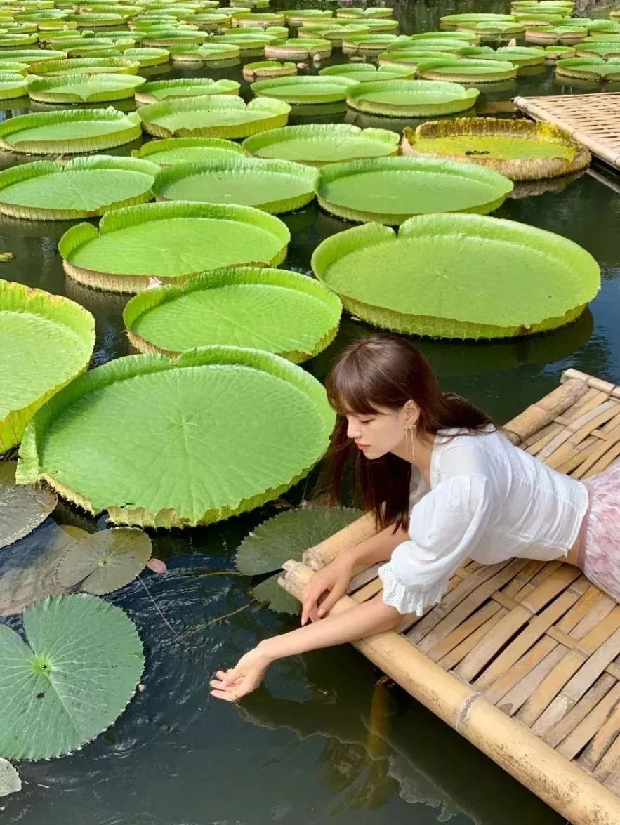 云南|机票300+，80%年轻人最爱的度假圣地