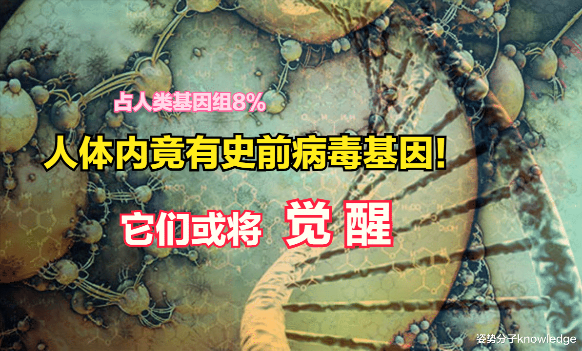 在人体内潜伏3500万年,史前病毒遗传物质或将觉醒!我们该担心吗