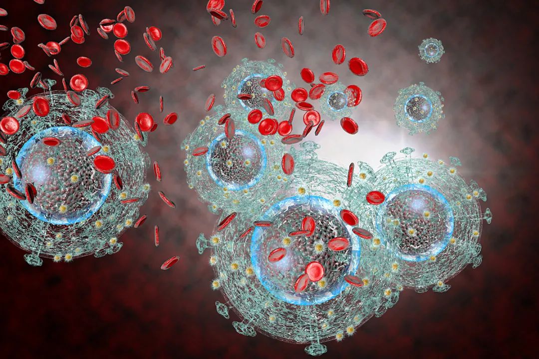世界艾滋病日:脐带血能治疗HIV?第一例治愈者已出现