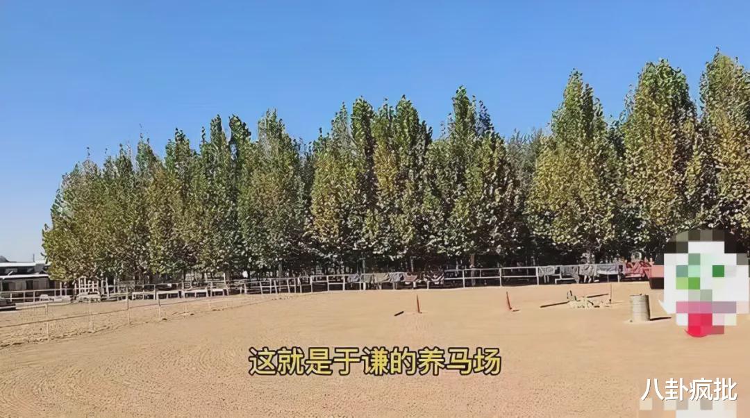 于谦|于谦持股公司赔533万！