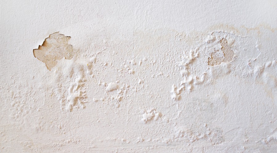 装修甲醛是从哪里来的?容易被忽视的5种“小型”建材,需要警惕