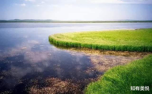 黑龙江|国内值得去的六大沼泽湿地,每个都美得与众不同,你去过几个呢?