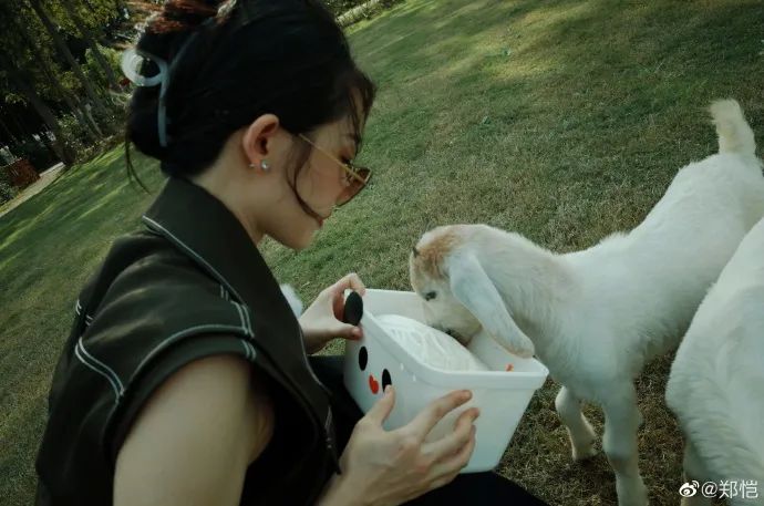 苗苗|结婚3年,郑恺苗苗终于暴露真实关系,网友:别装了,你们根本不幸福