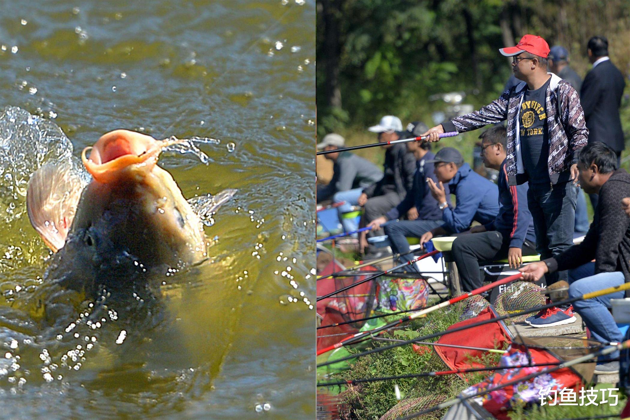 |黑坑钓鱼不开口是什么原因?黑坑钓鱼不开口的原因分析