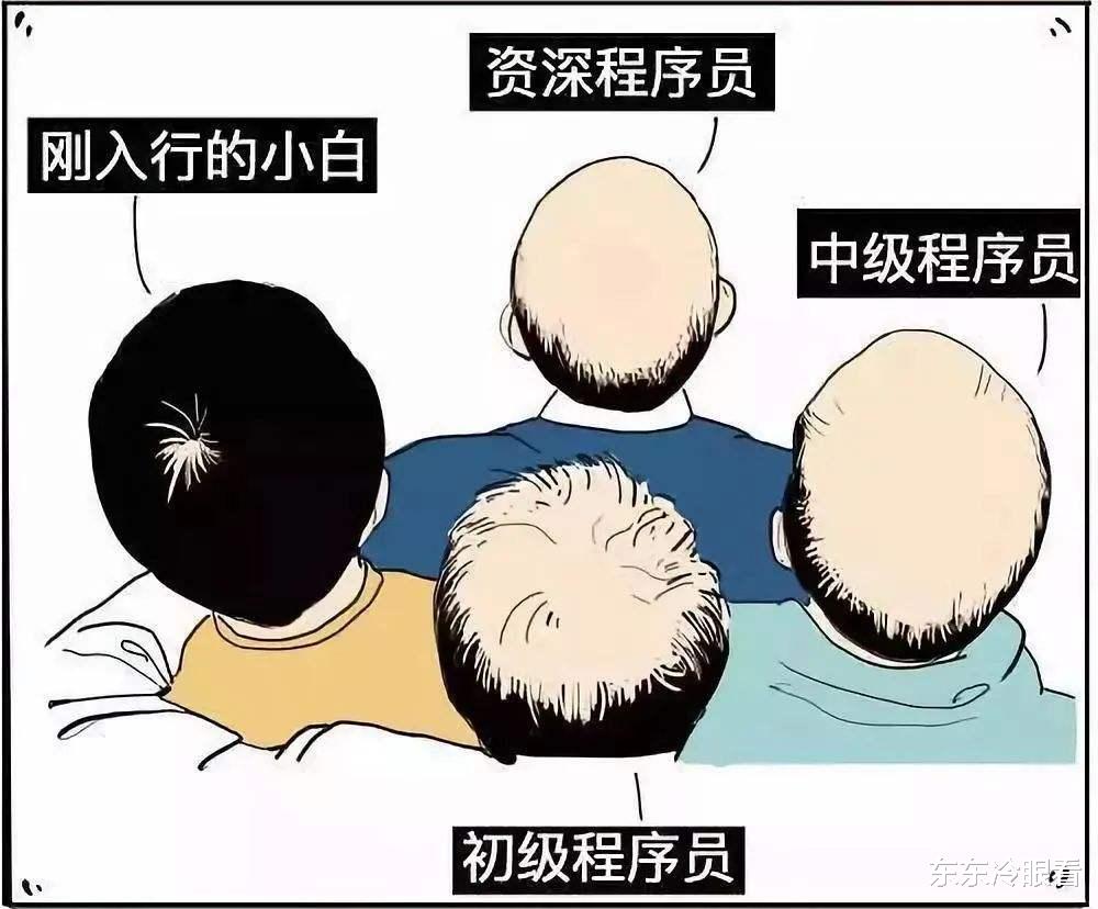 程序员|“程序员”真的高收入吗？年薪30万起，传说的35岁危机