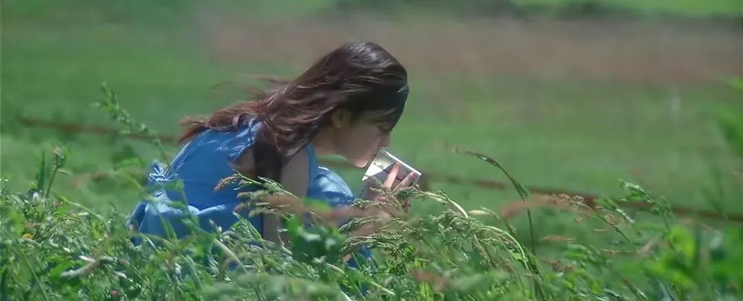 张含韵|美不过张含韵,唱不过郁可唯,凭什么她最火?