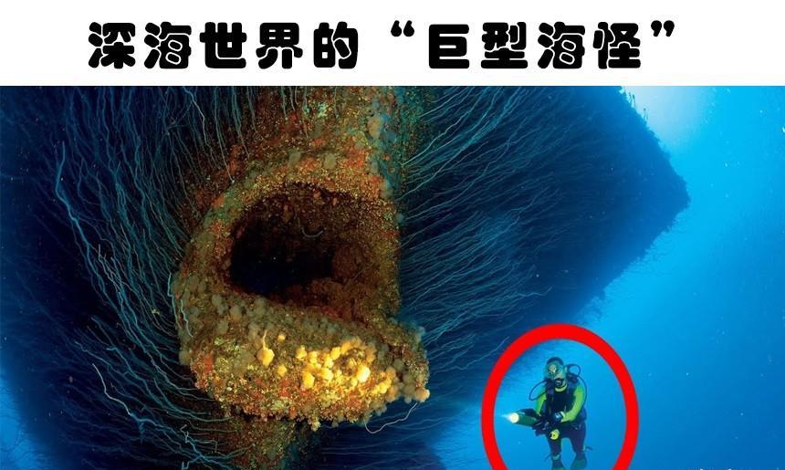 水下的发现:在水下被人类发现的6种可怕的事物