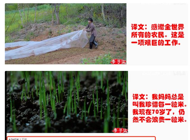 小沈阳|2022年娱乐圈逆袭事件：张兰爆红、小沈阳再火、李子柒翻盘