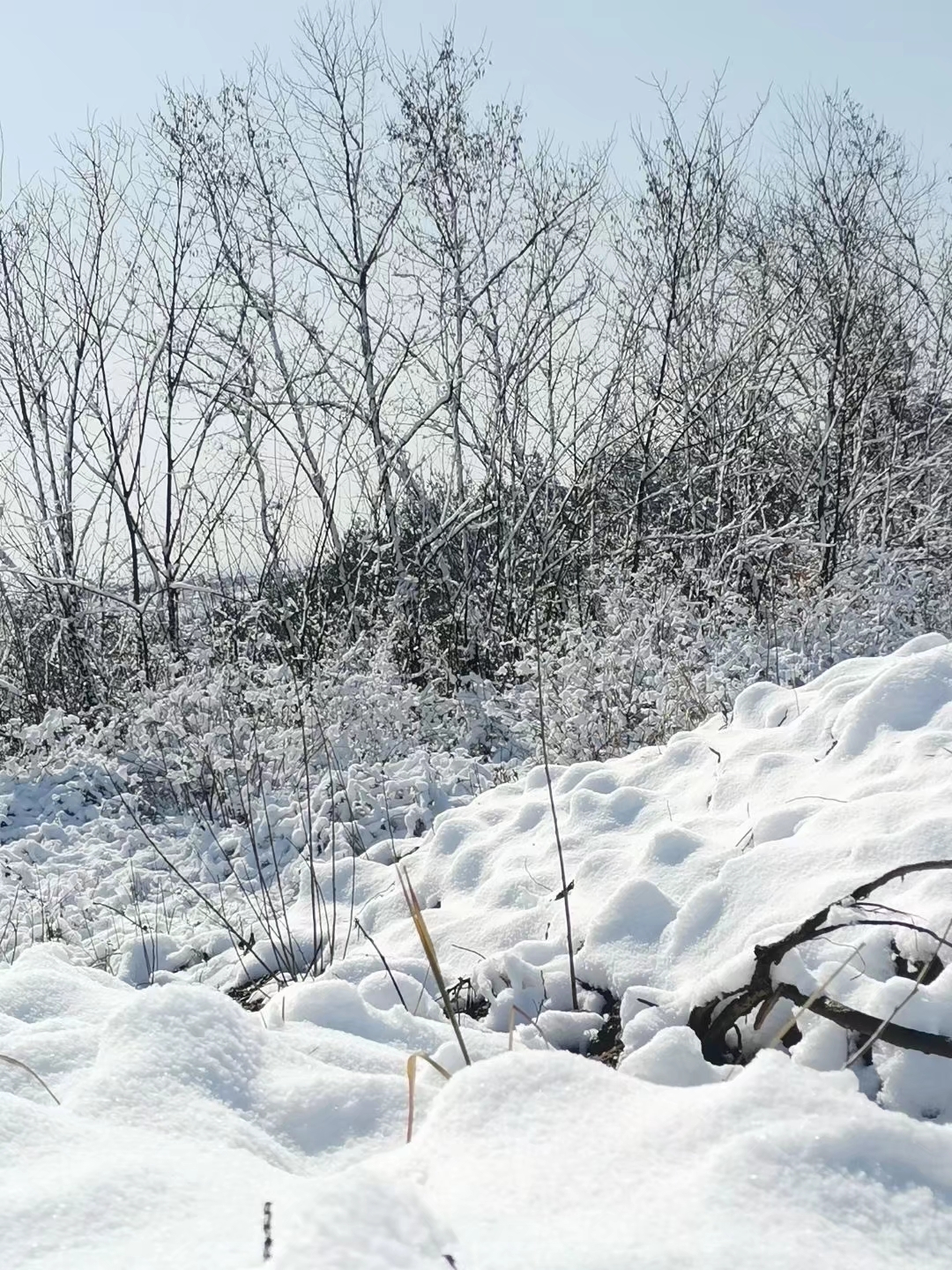 听说家里在下雪