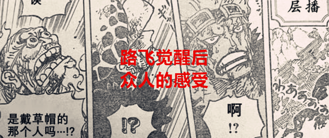 路飞|海贼王1044话:当路飞觉醒时,山治的反应足以说明他的见闻色无敌