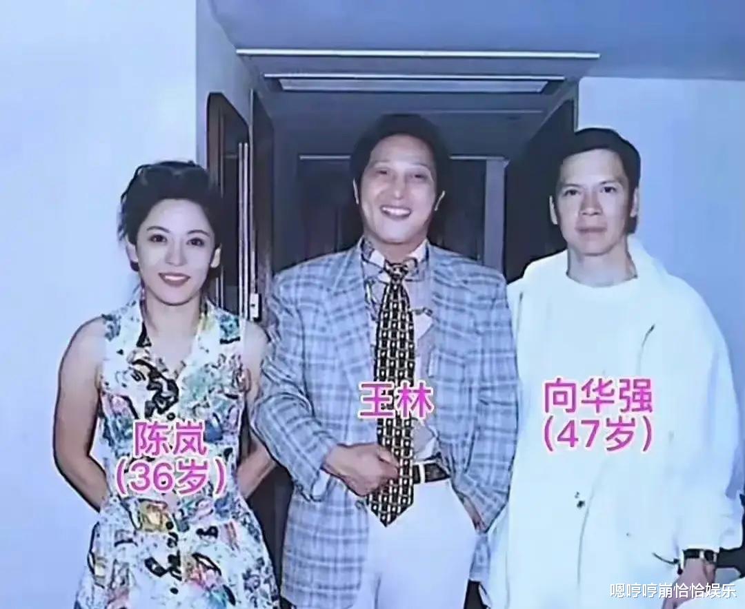 向太|向太陈岚晒年轻时候的照片，网友感叹：太好看了吧！