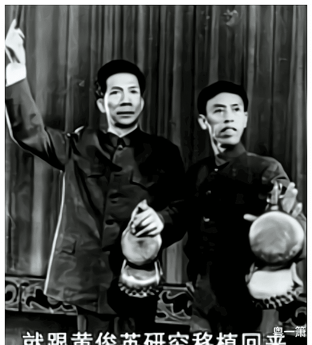 黄俊英|消失在广东观众视野多年快被遗忘的杨达,他与黄俊英才是最佳组合