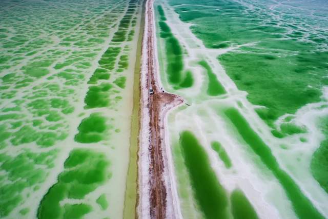 青海|青海,除了远,便再也找不出什么别的缺点了
